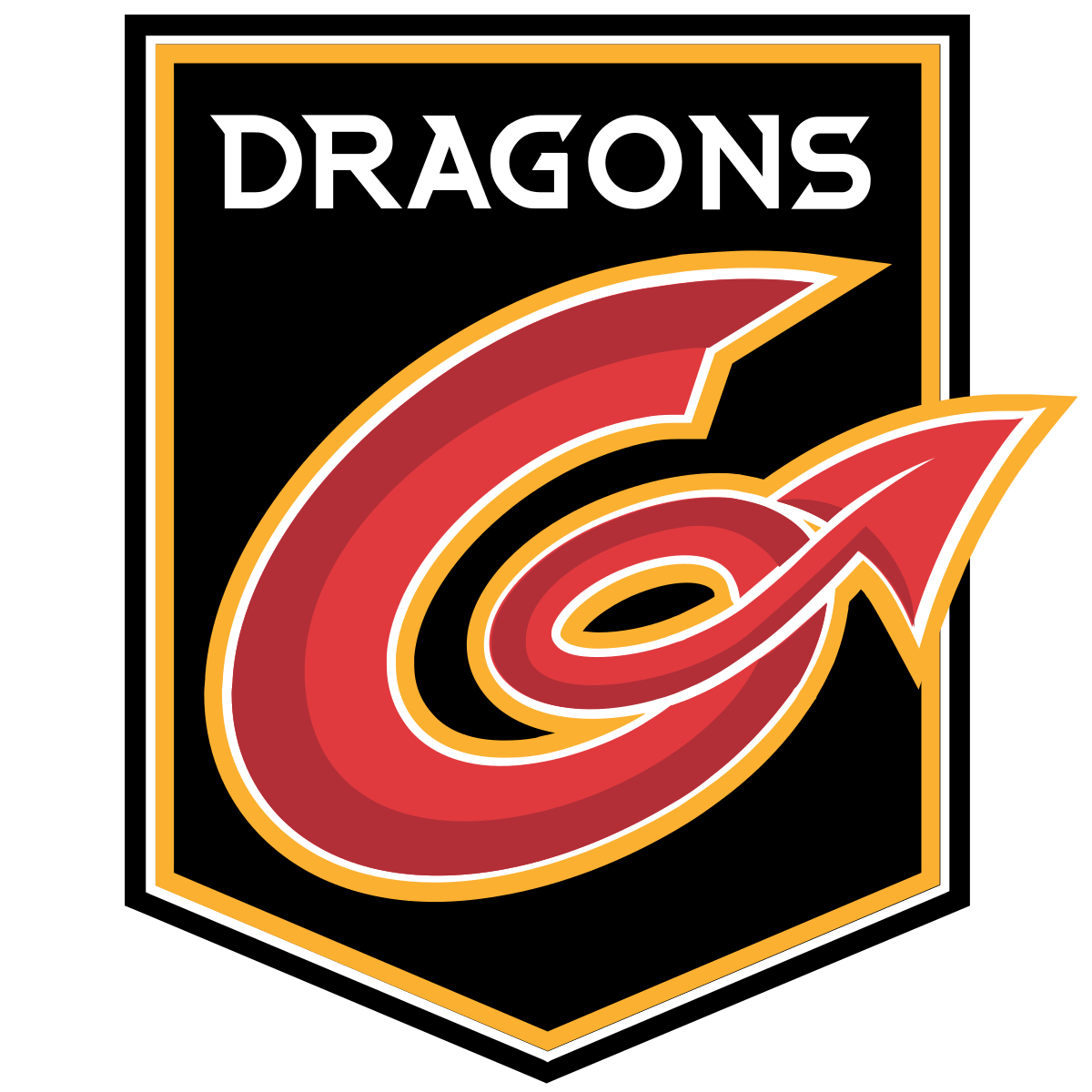 Newport Dragons.