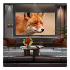 LG OLED77C56LB.AEK 77" 4K OLED Smart TV