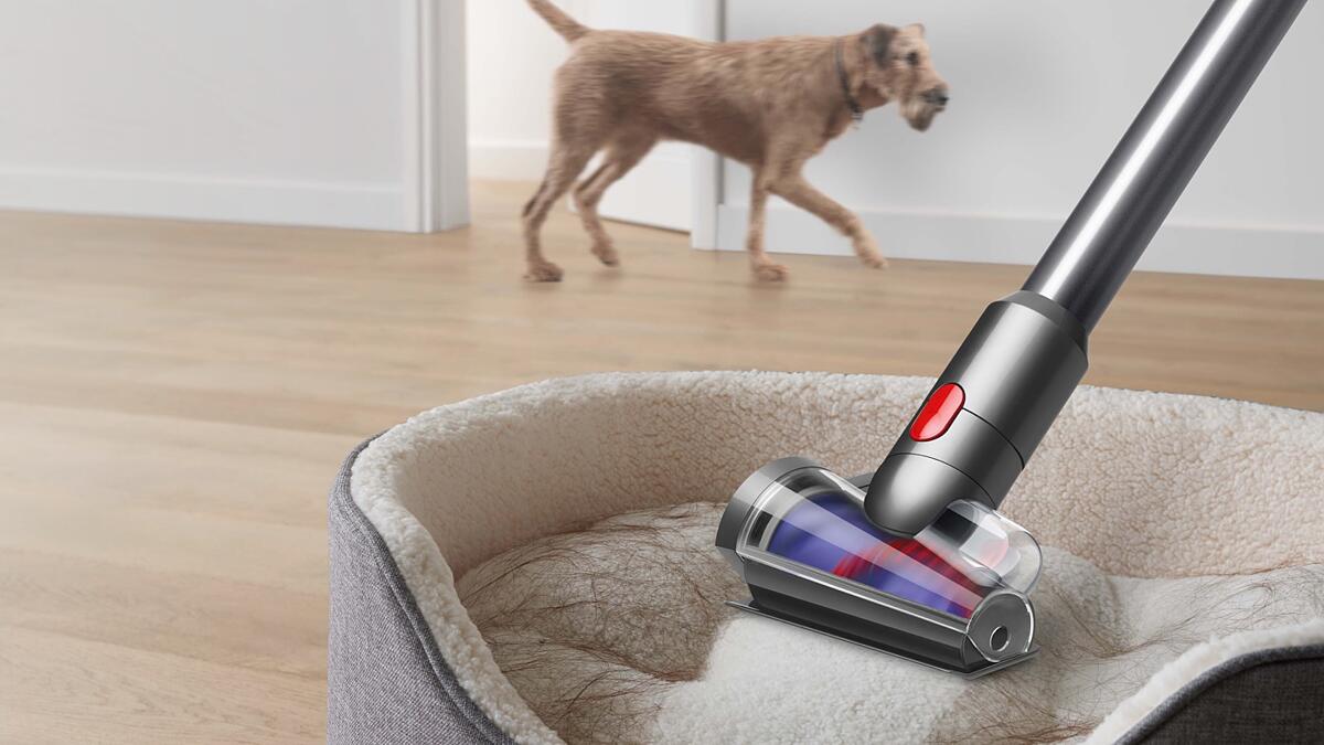 Cleaning out a dirty dog bed easily with the Hair screw tool.